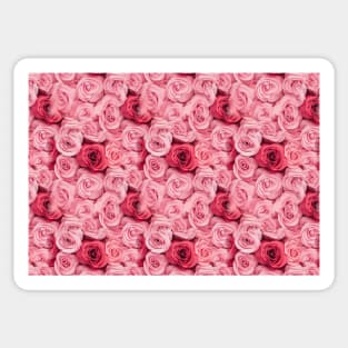 Roses pattern Sticker